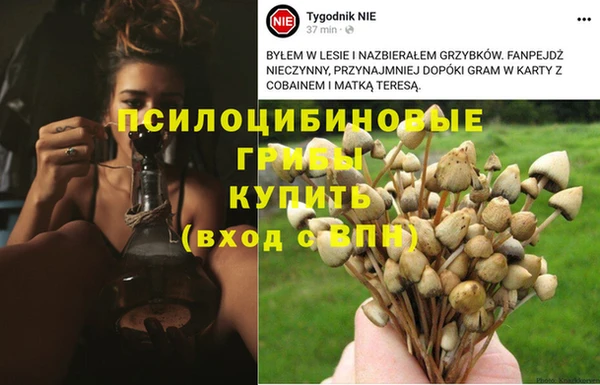 mdpv Арсеньев