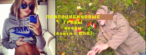 mdpv Арсеньев