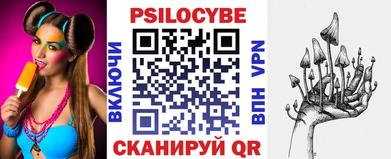 Псилоцибиновые грибы GOLDEN TEACHER  где купить наркоту  Приозерск 