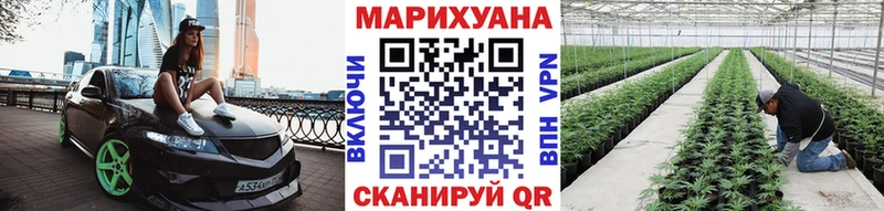 даркнет телеграм  Приозерск  Бошки Шишки семена 